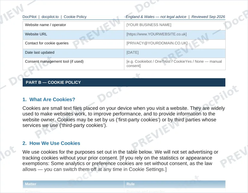 Preview of page 2 of the DocPilot Cookie Policy, showing the website details and cookie policy sections